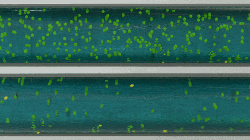 Laminare und turbulente Strömung
